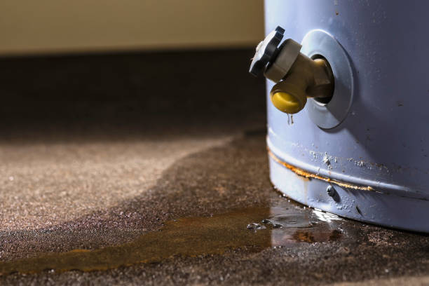 Best Water damage contractors near me  in West Branch, MI