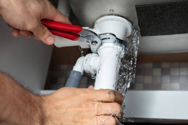 Best Water damage restoration near me  in West Branch, MI