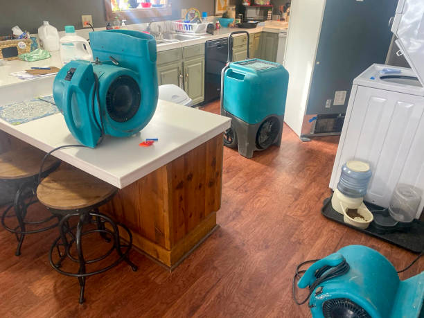Best Water damage restoration insurance claims  in West Branch, MI