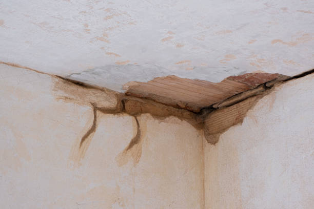 Best Emergency water damage restoration  in West Branch, MI