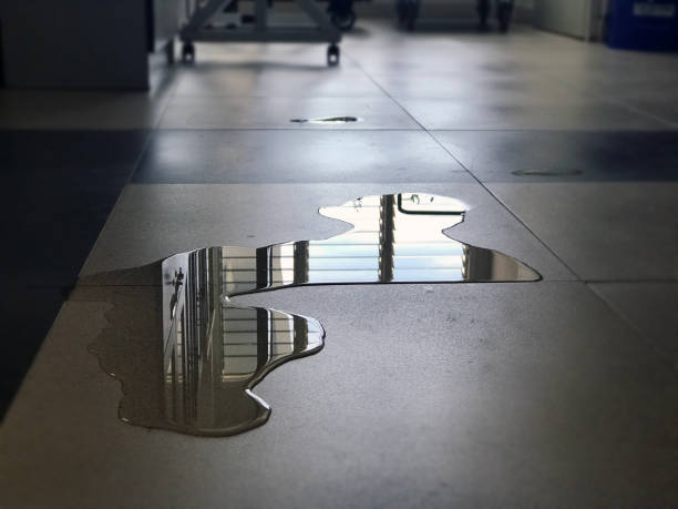 Best Commercial water damage restoration  in West Branch, MI
