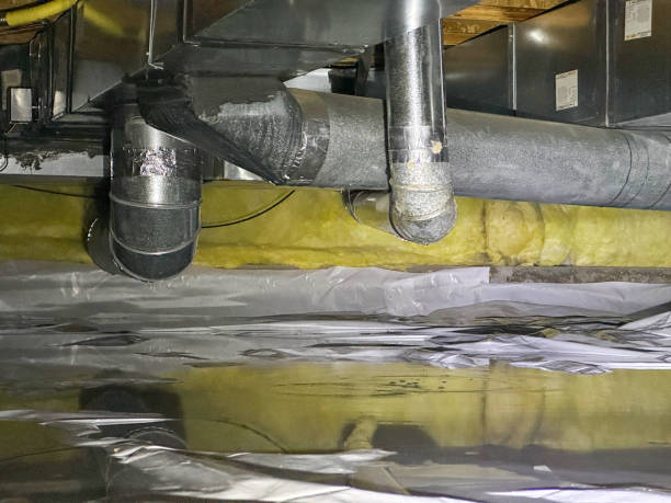 Best Sewage cleanup and water damage restoration  in West Branch, MI