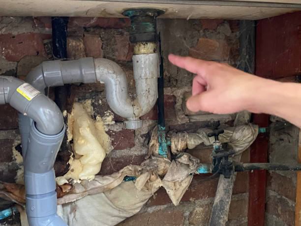 Best Flooded house restoration  in West Branch, MI