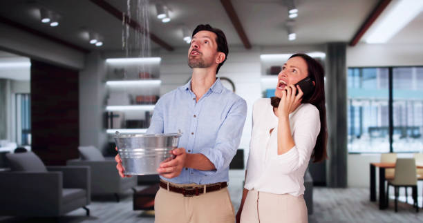 Best Flood damage cleanup  in West Branch, MI